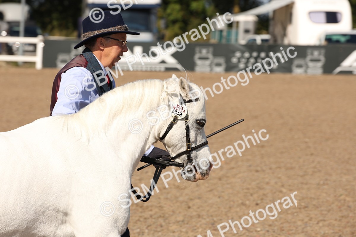 SBM_02759 - Class 16 IH M&M Wildcard