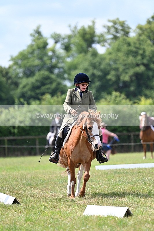 WJ7_3383 - Time 10:28 to 10:42