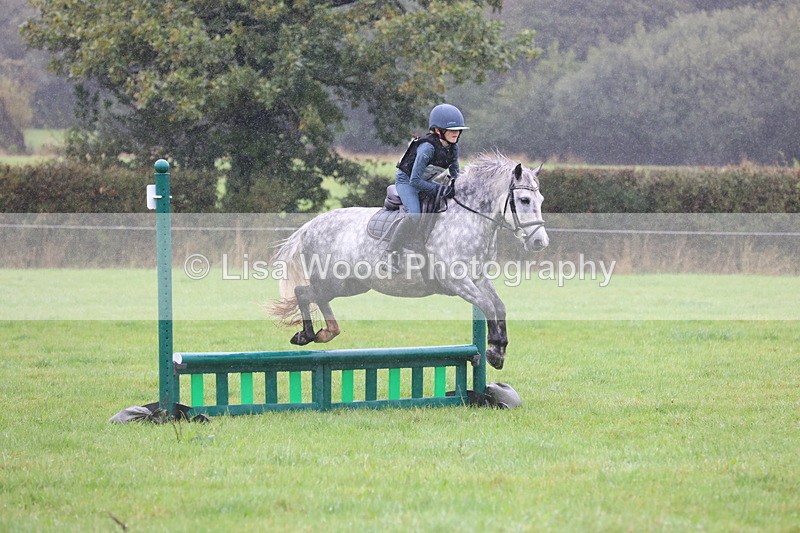 JPP_5143 - Class 1: 65cm : Showjumping