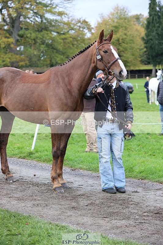 251026A-104127-23193 - F-460-Rueben.Kennah