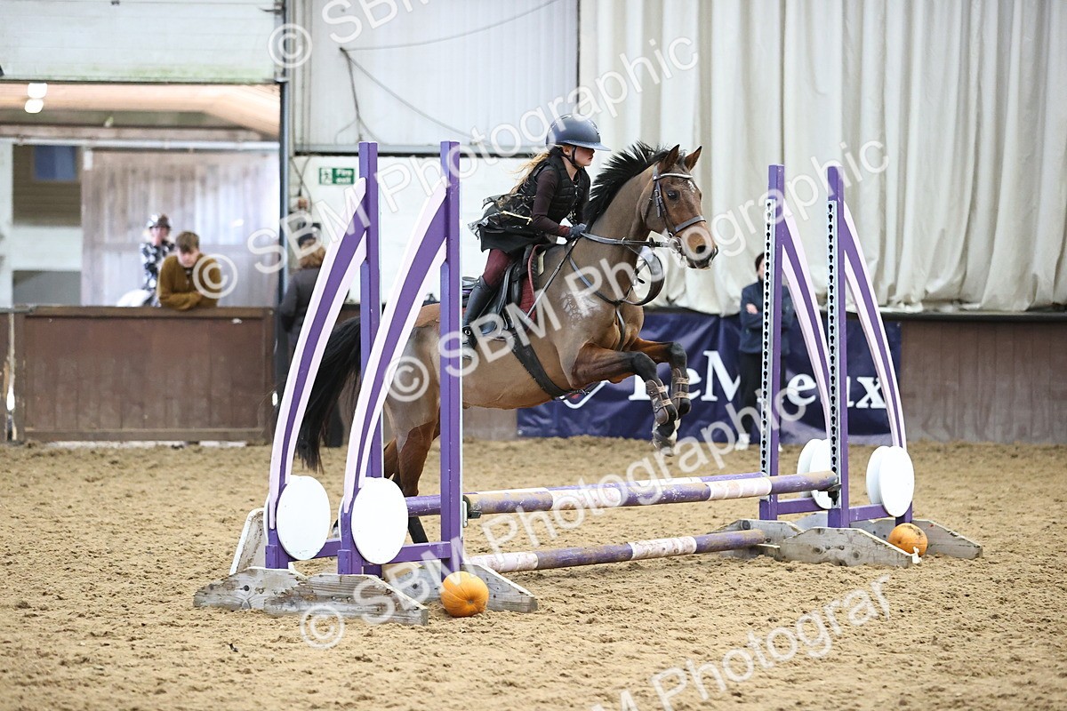 SBM_001536 - Class 3 - Horse & Hound 60cm