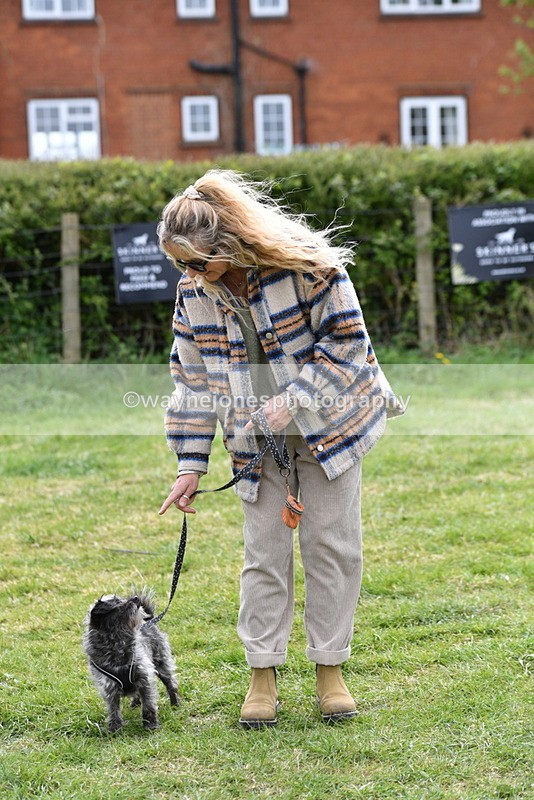 WJ5_9330 - Class 1 Best Cross Breed / Heniz 57