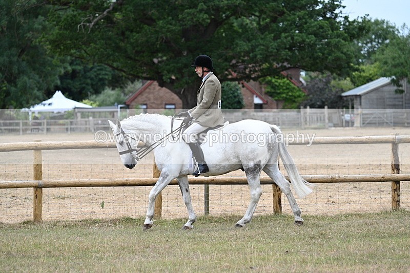 WJ7_0786 - Class 7 Riding Club Show Horse