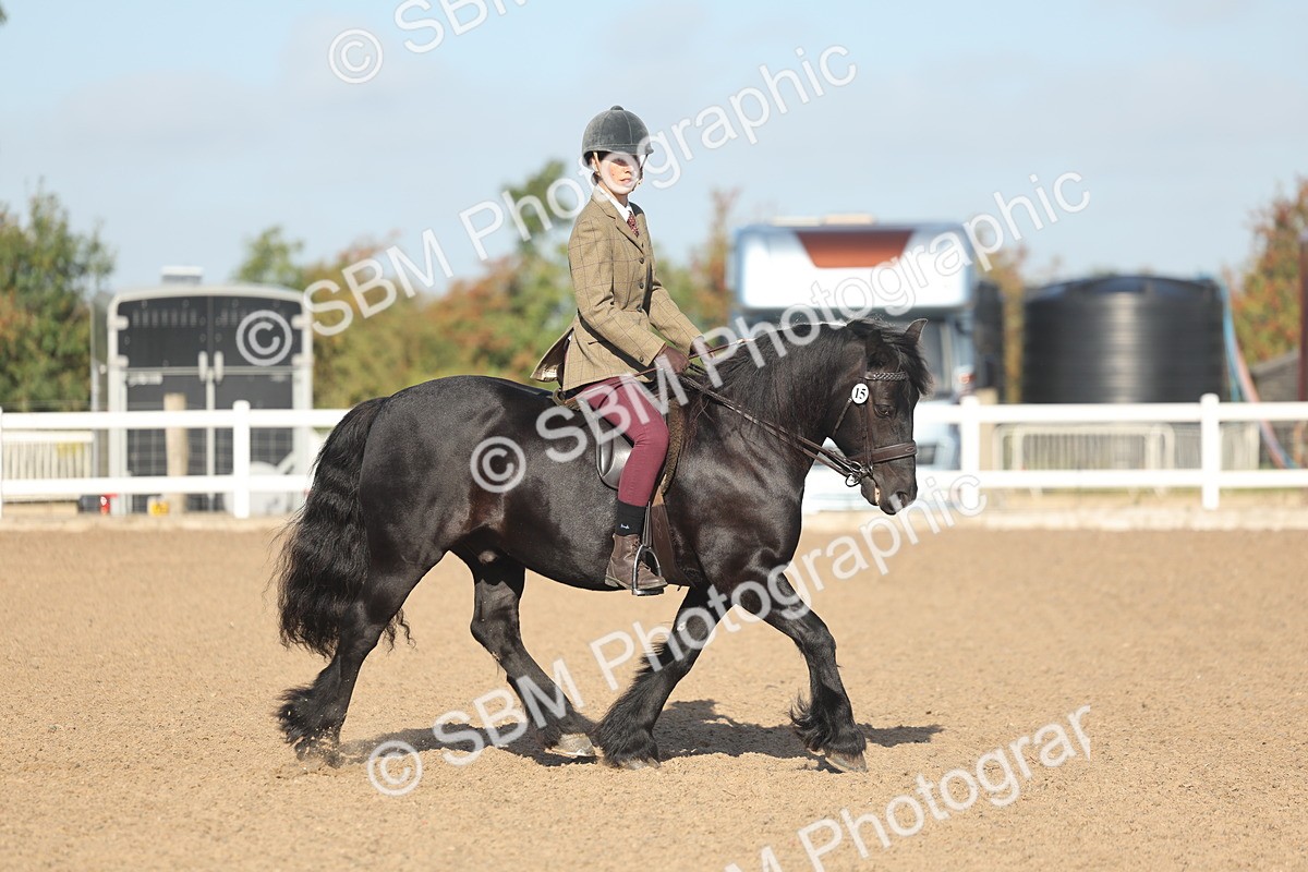 SBM_22173 - Class 802 - Ridden Groom Helpers Class