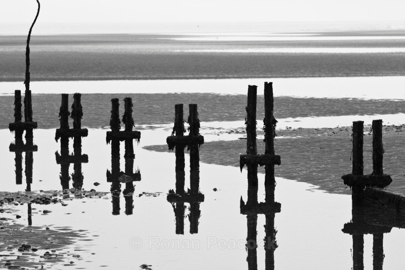 Posts (B&W) - Shapes and Skies
