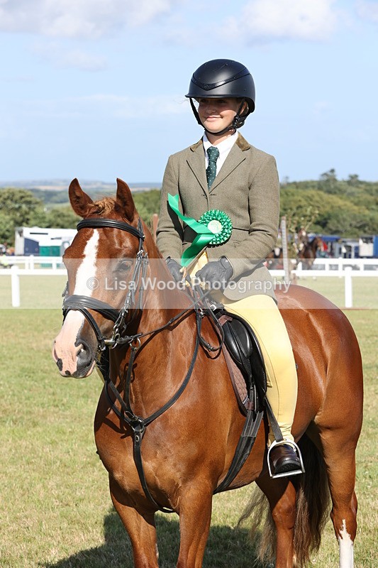 JPP_3056 - Class 20: Working Hunter 70cm