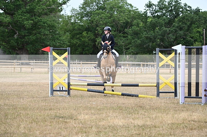 WJ6_9919 - Class 13 Novice Jumping 60cm