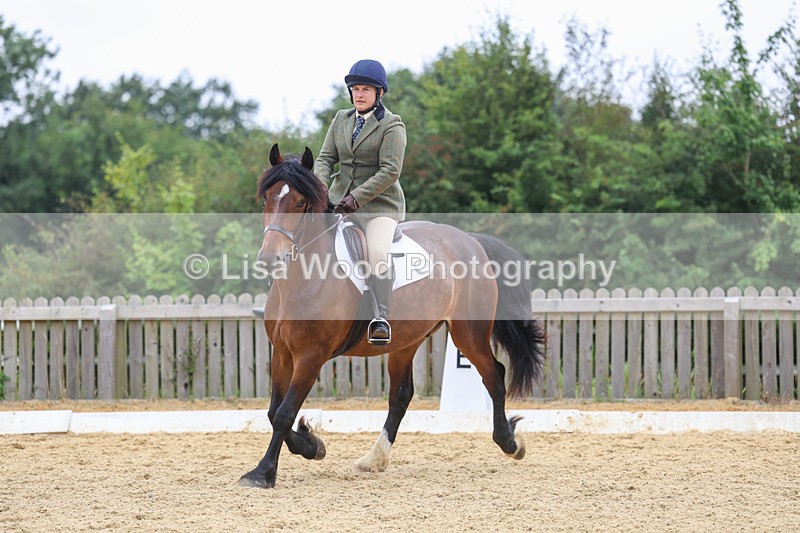 3E7A5183 - Class 2: Intro 4 2024 section B