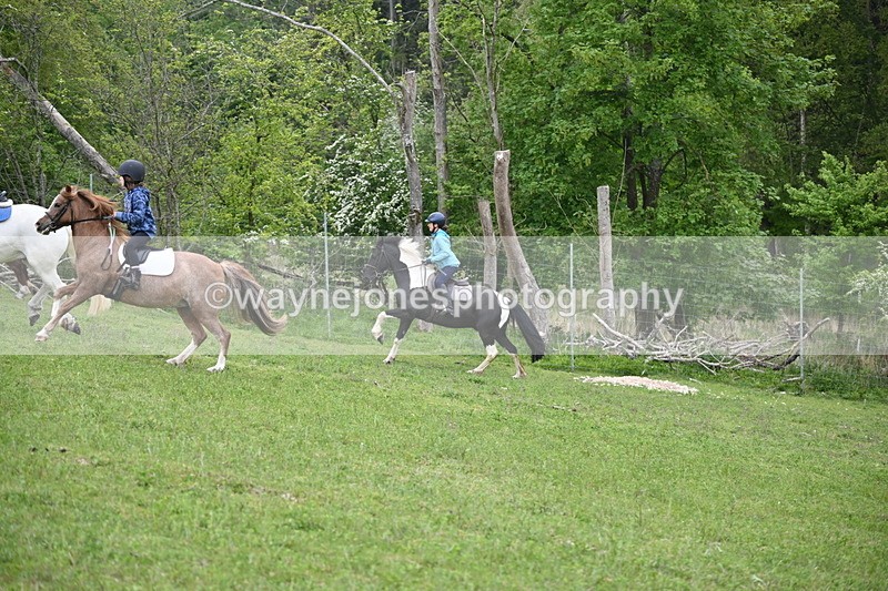 WJ6_3054 - A Camera