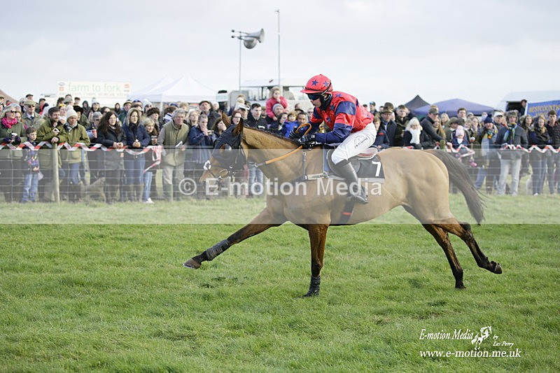 PtP 300122 554 - South Dorset Hunt - Point-to-Point Races 30/01/2022