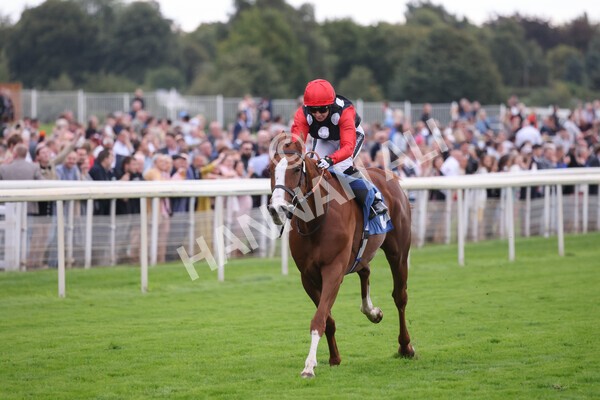 yr24092021r6-26 - Race 6 4.25pm William Hill Pick Your Places Stakes