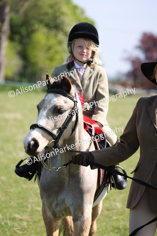 20250427-1565 - Class 31 - Leading Rein Pony