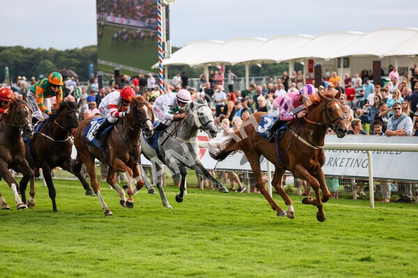 yr23072021r2-20 - Race 2 6.30pm IRE-Incentive It Pays To Buy Irish Stakes