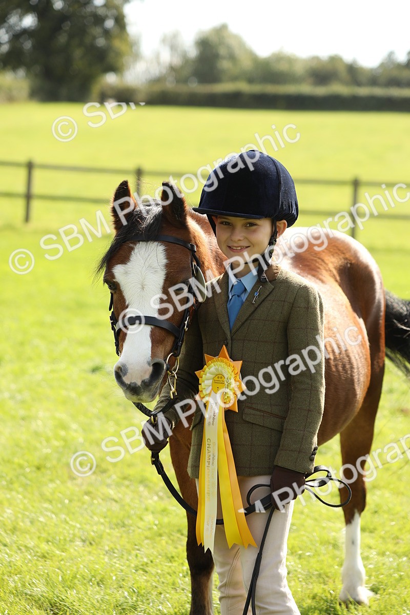 SBM_67858 - S39 - Junior Handler 8  Years & Under