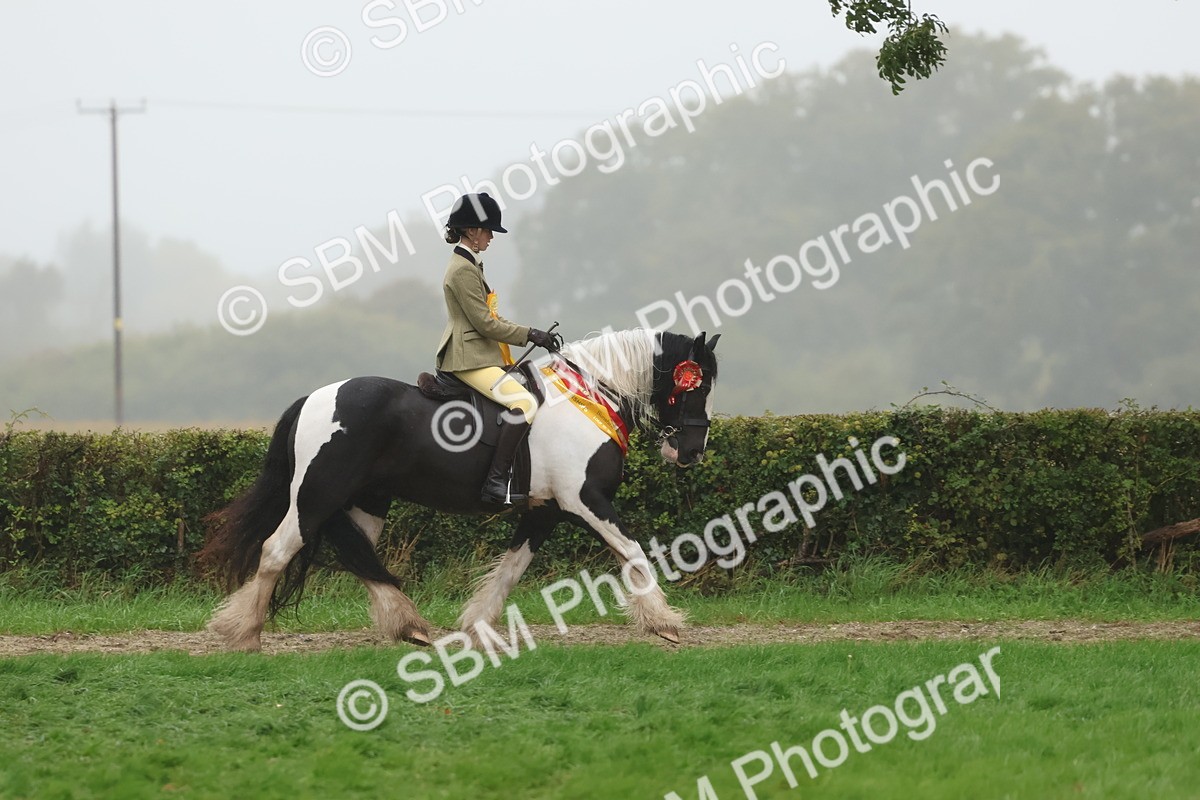 SBM_73204 - Super Supreme Championship(Sun)