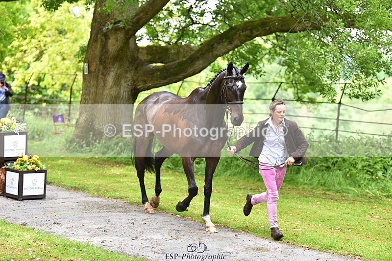 240522-153904-00501 - 370-STORM_IN_DECEMBER-Claire_Fielding