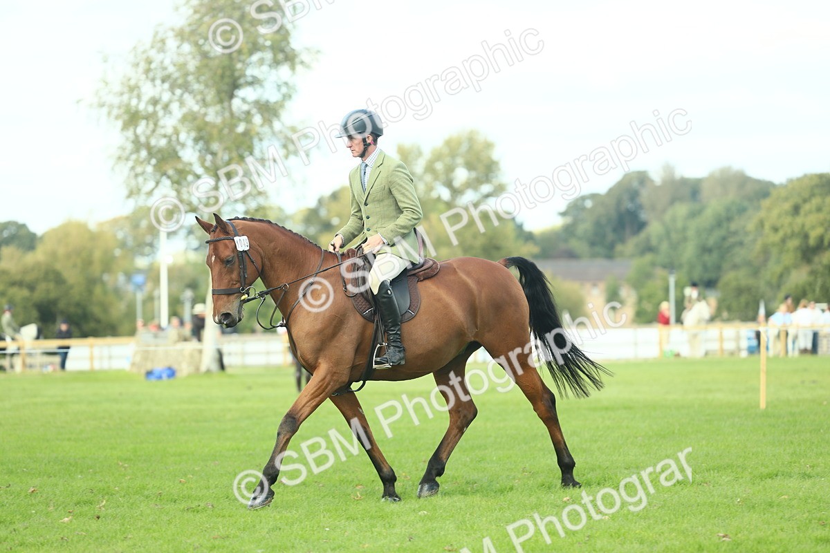 SBM_50751 - S33 - Working Hunter & Working Show Horse