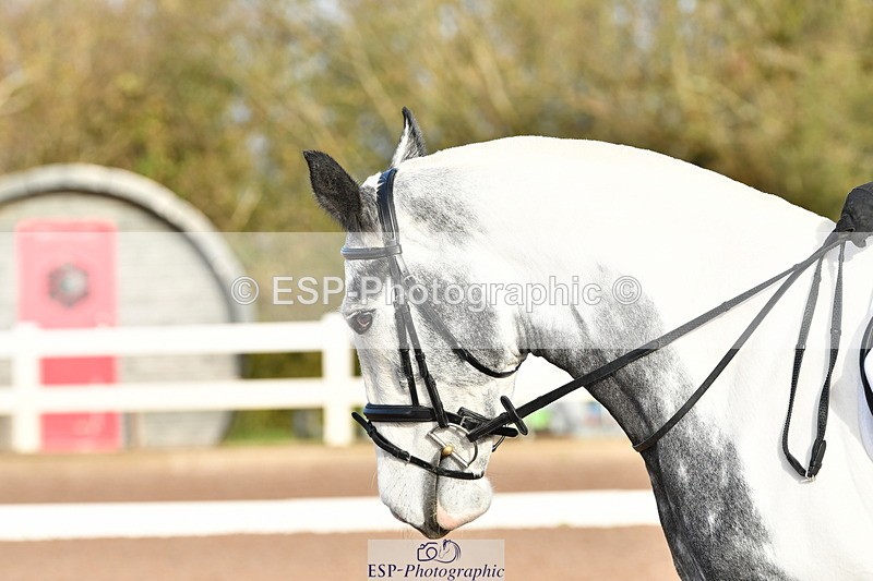 231105A-095422-00050 - UnAf Intro A and B