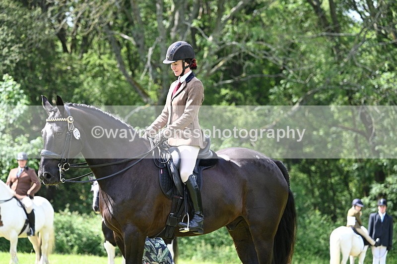 WJ7_1472 - Class 11 Condition & Turnout