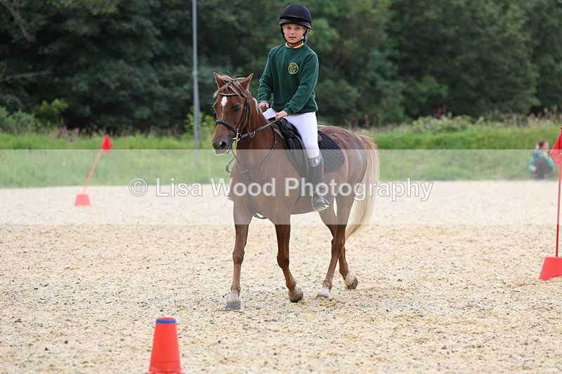 3E7A9809 - Pole Bending