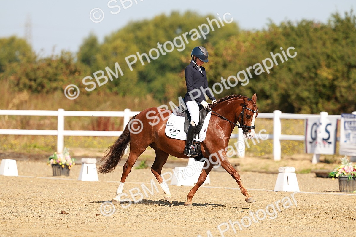 SBM_016826 - Class 9 - N5 Bronze 9.30.10.19