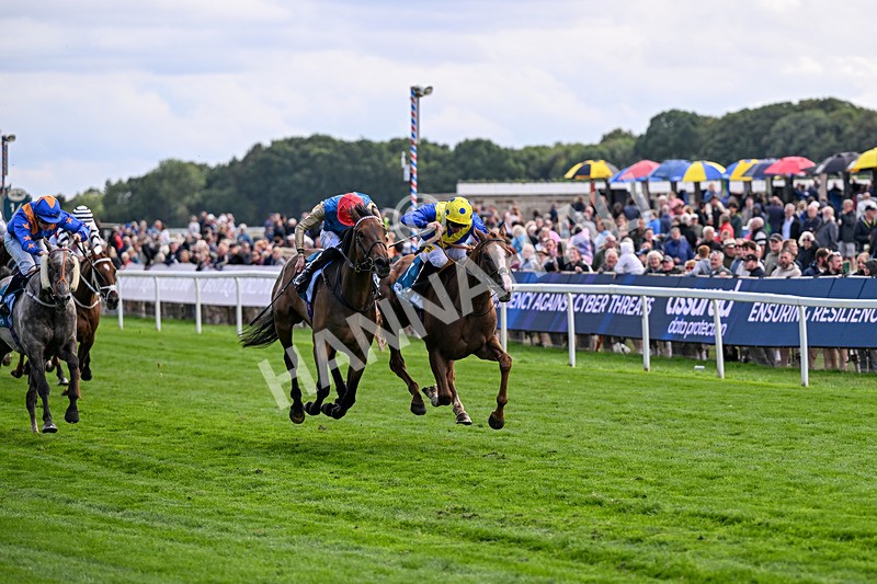 210826-Race 5-Plage De Havre-6750 - Race 5 16.10pm Assured Data Protection Handicap