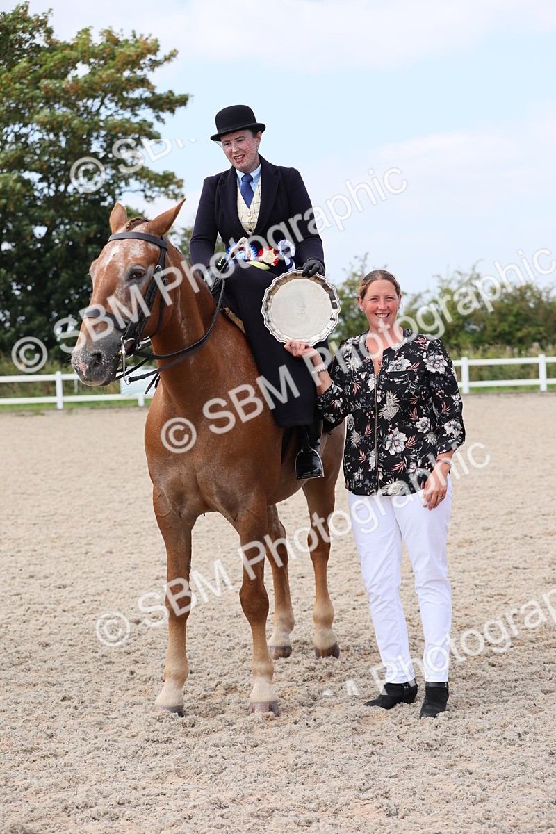 SBM_14621 - Class 211 Best Side Saddle Horse/Pony