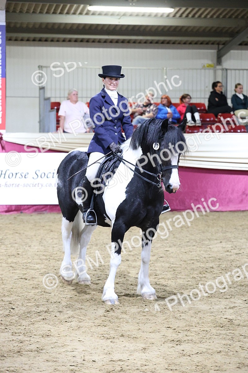 SBM_21179 - class Q - Ridden Horse Champ