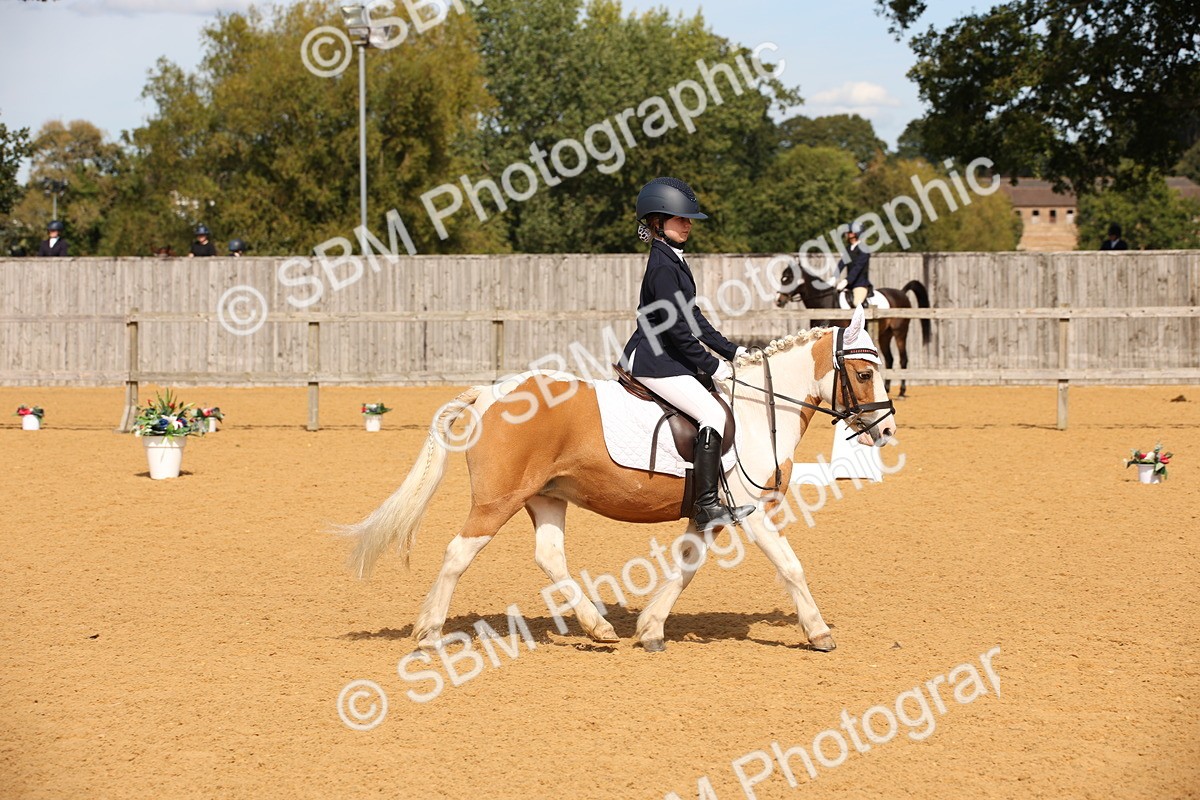 SBM_21796 - D5 - Small Tour Championship - Intro C