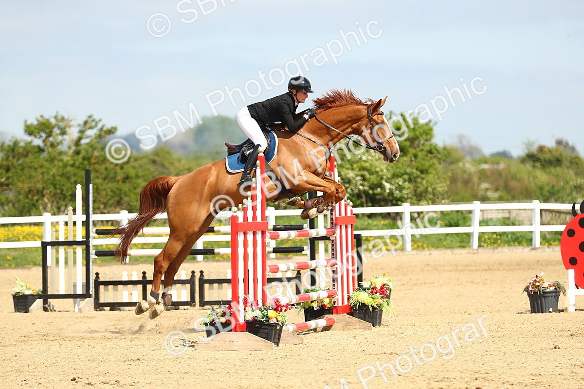 SBM_001356 - Class 5 - Senior Foxhunter 1.20m