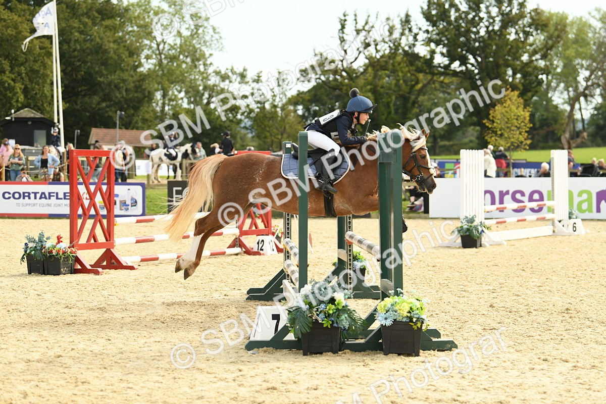 SBM_71040 - J15 - Junior Pony 70cm Championship