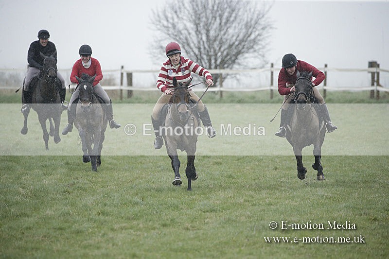 PtP 150320 0004 - New Forest Point-to-Point Larkhill 15/03/20