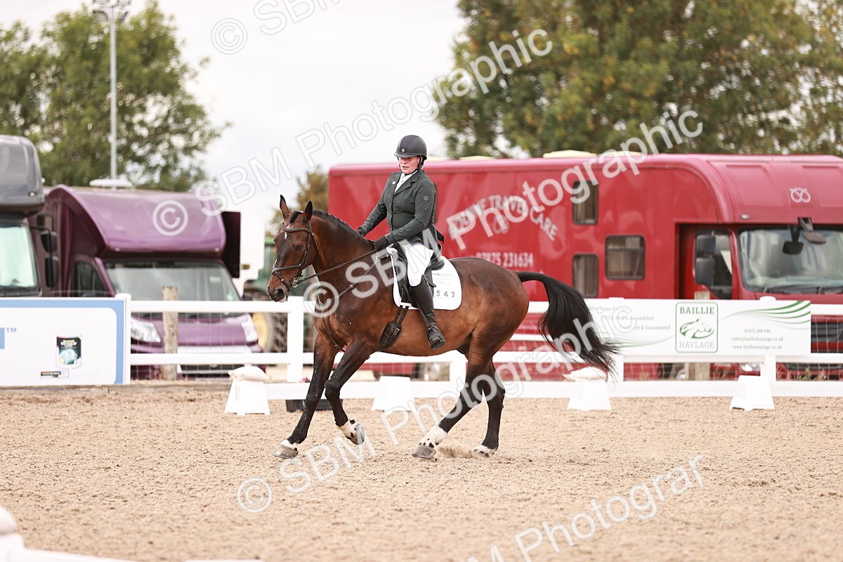 SBM_06368 - Class 37 - Novice 5