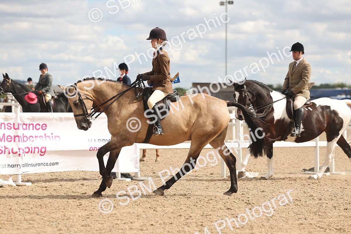 SBM_14773 - Class 308 - Ridden Coloured Horse