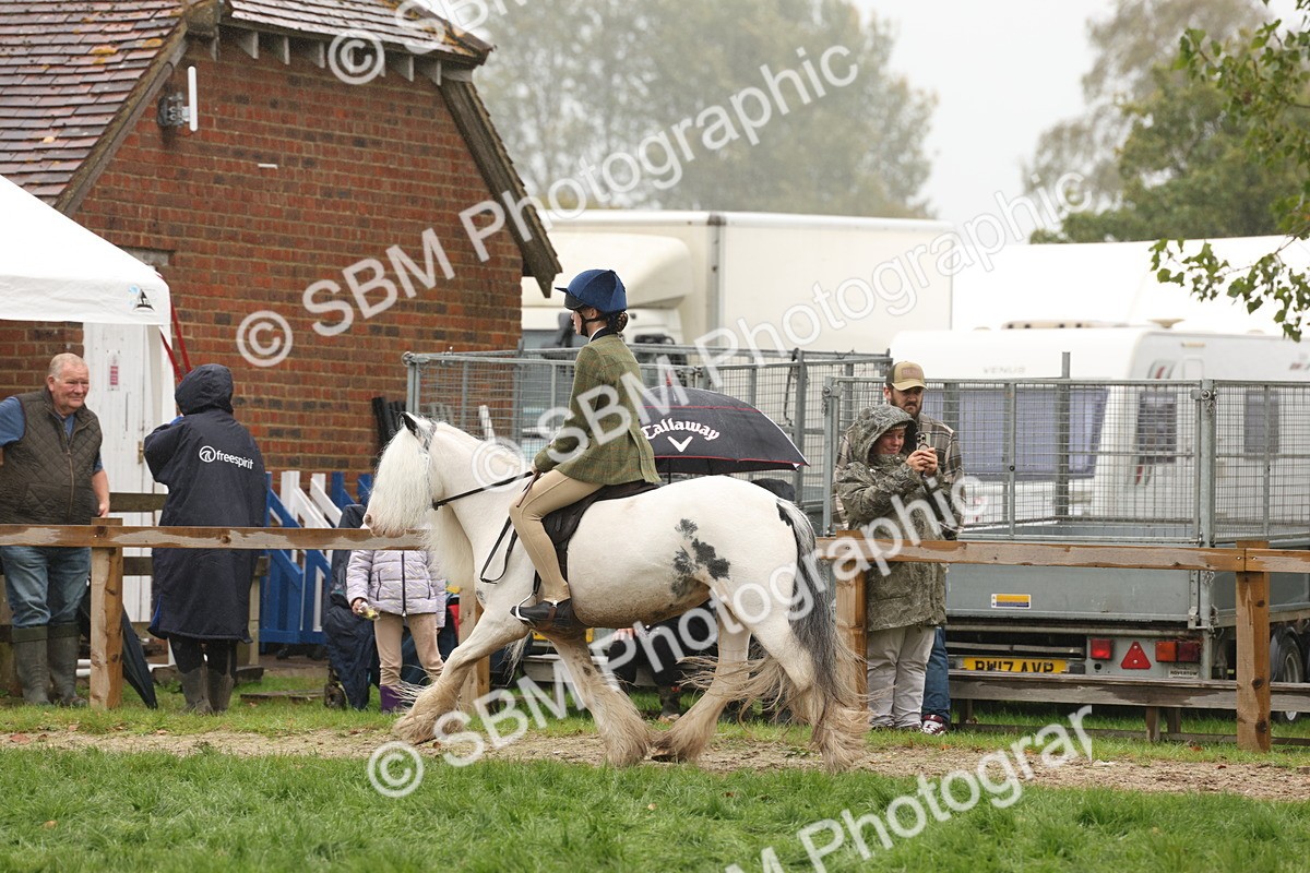 SBM_72755 - S70 - Traditional Cob Ridden