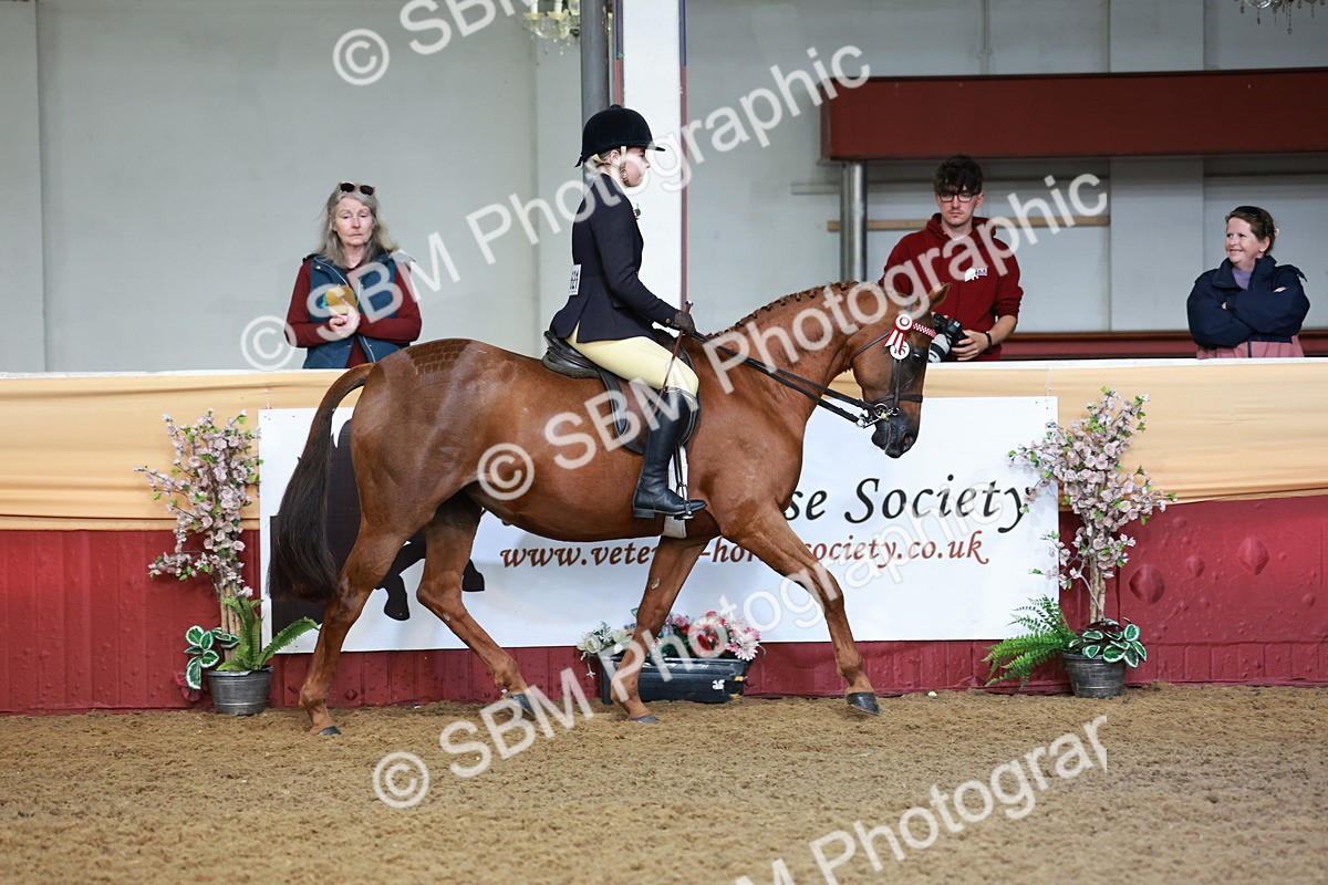 SBM_11793 - Class 102 - Equitation (Best Rider) Adult