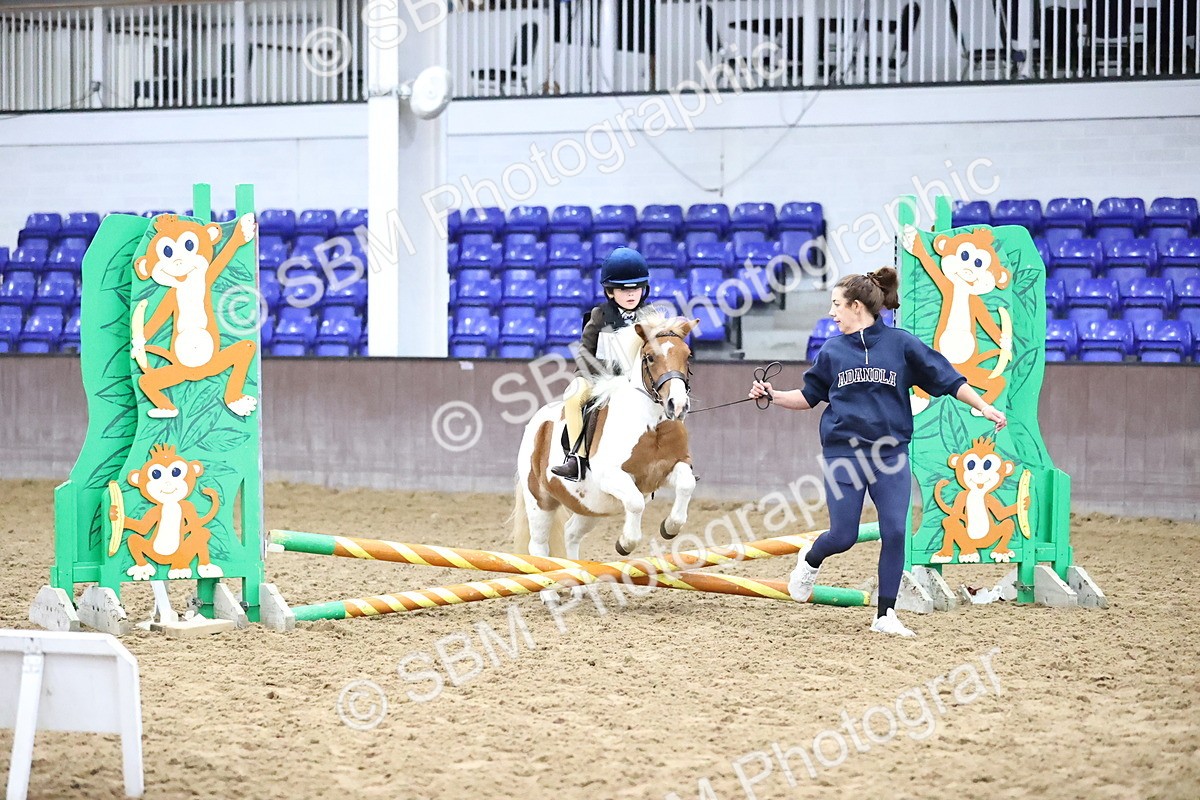 SBM_000021 - Class 1 - Fox Farriers 30cm