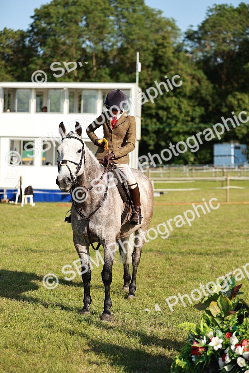 SBM_20052 - Class 115-116 - LIHS BSHA Rising Star Working Hunter & Show Horse