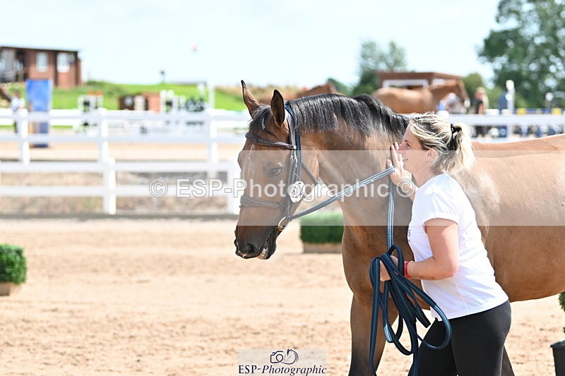 240717A-150456-02525 - Trot Up 3pm to 4pm