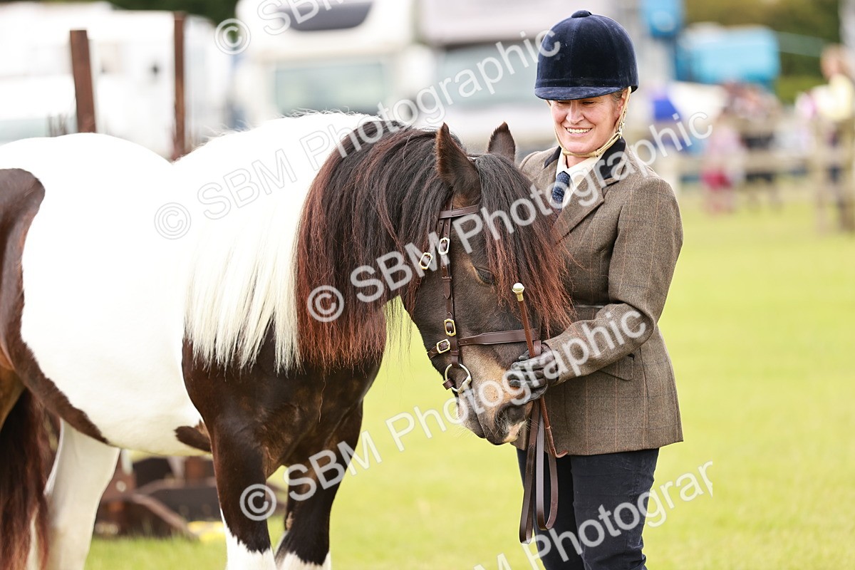 SBM_05996 - Class 39-41 TGCA In Hand and Ridden