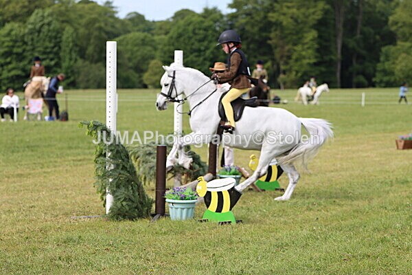 IMG_2361 - Working Hunter