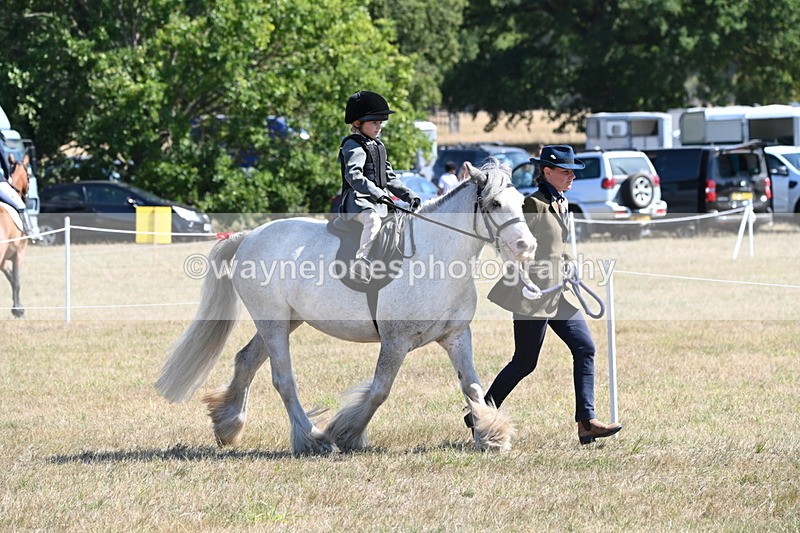 WJ6_7809 - Class 36 Lead Rein
