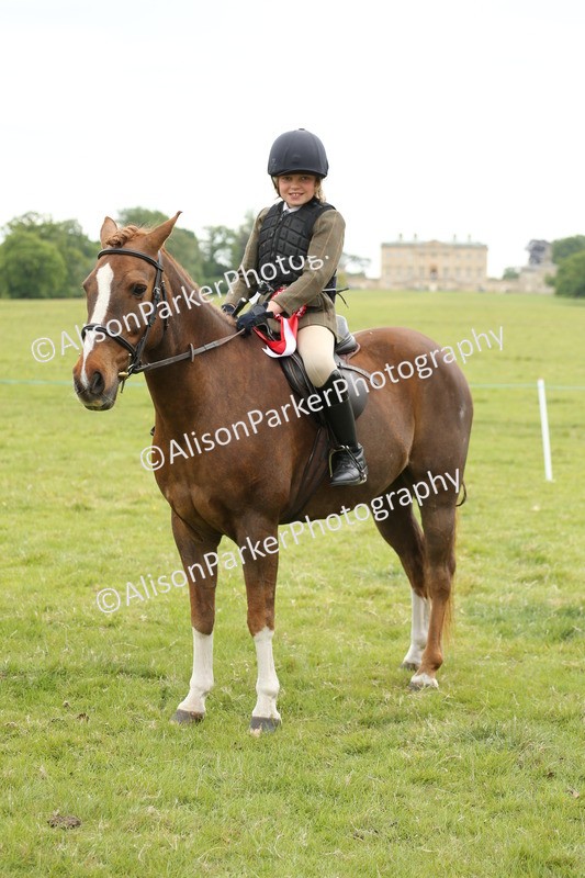 20250517-1214 - Class 21 - Novice Working Hunter