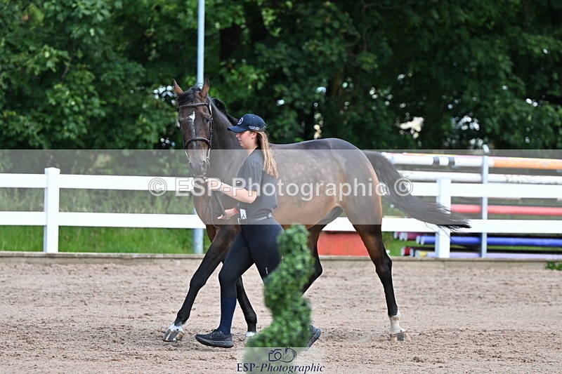 240718A-105252-01267 - Trot Up 12pm to 1pm