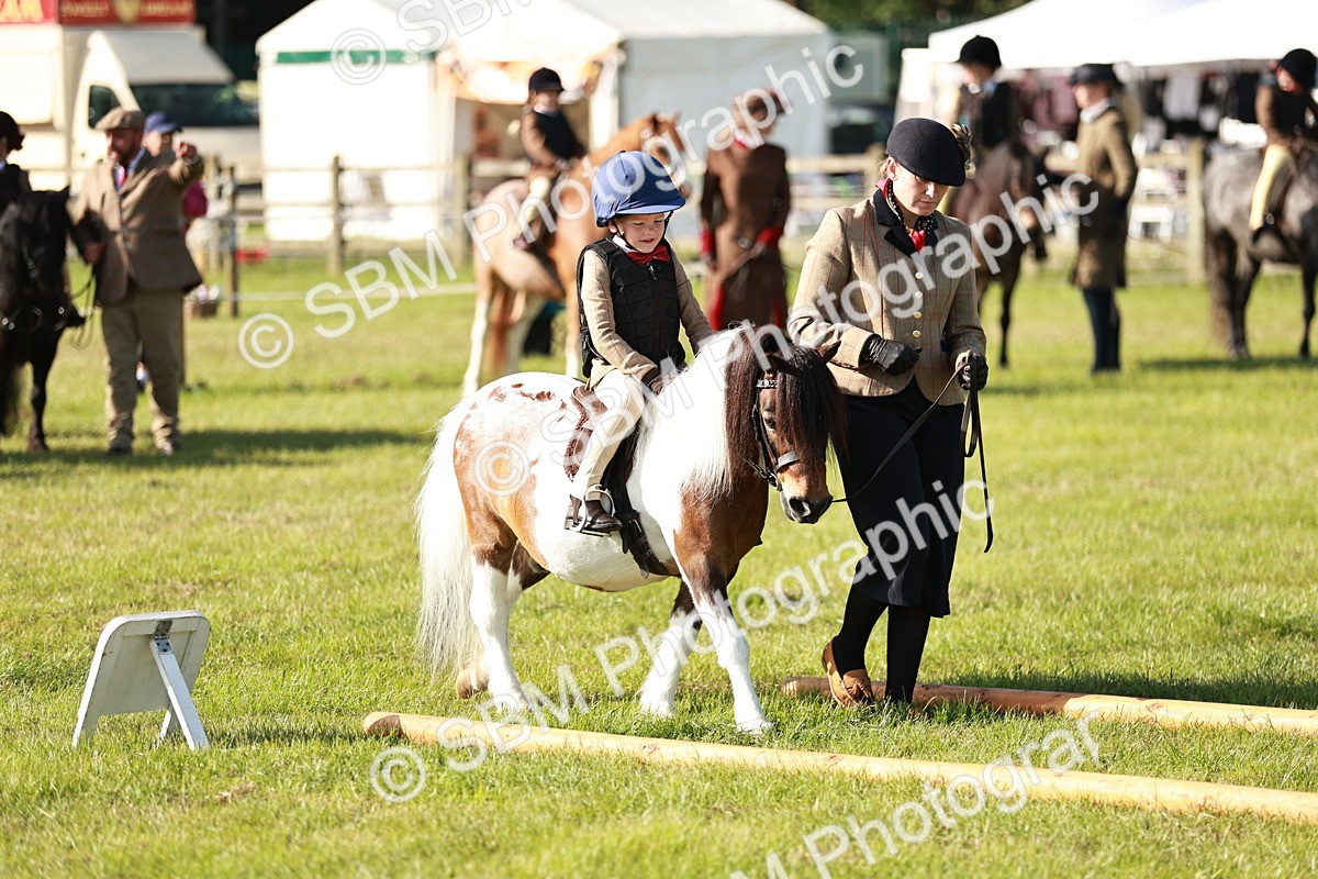 SBM_11178 - Class 106-107 - BSPS LIHS Working Sports Pony