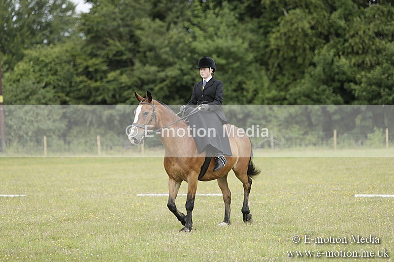 BVR160717-623 - Class 1 & 23a Dressage 16/07/17