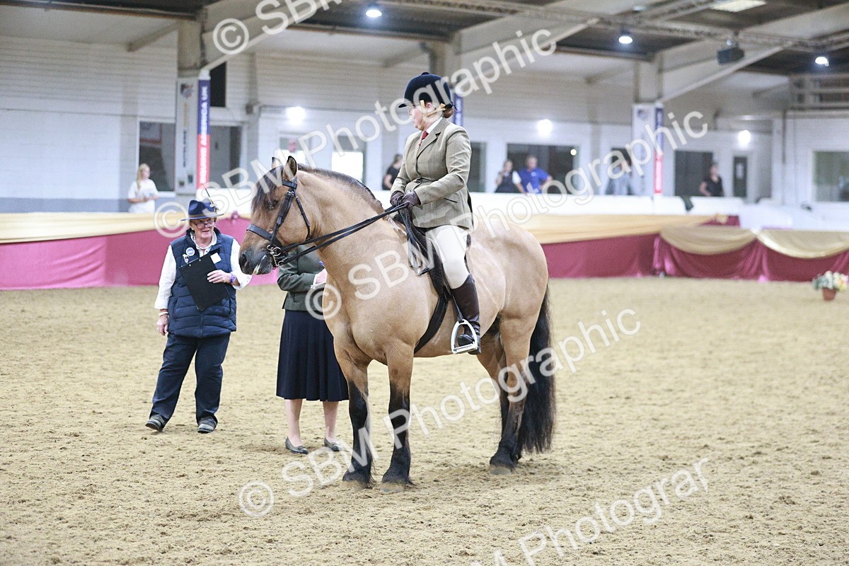 SBM_08092 - Class 11R - Regional Ridden Veteran