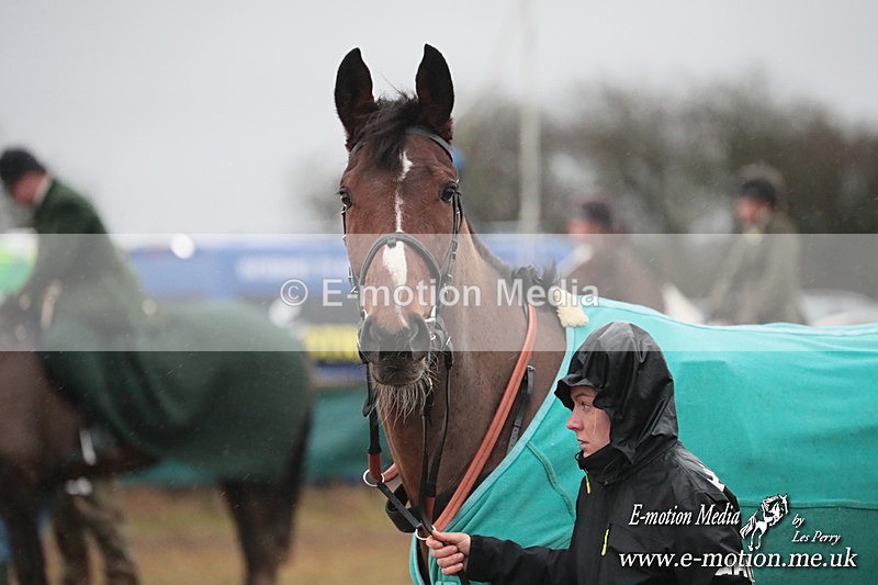 PtP 260125 958 - Cocklebarrow Point-to-Point racing with the Heythrop Hunt 26/01/25