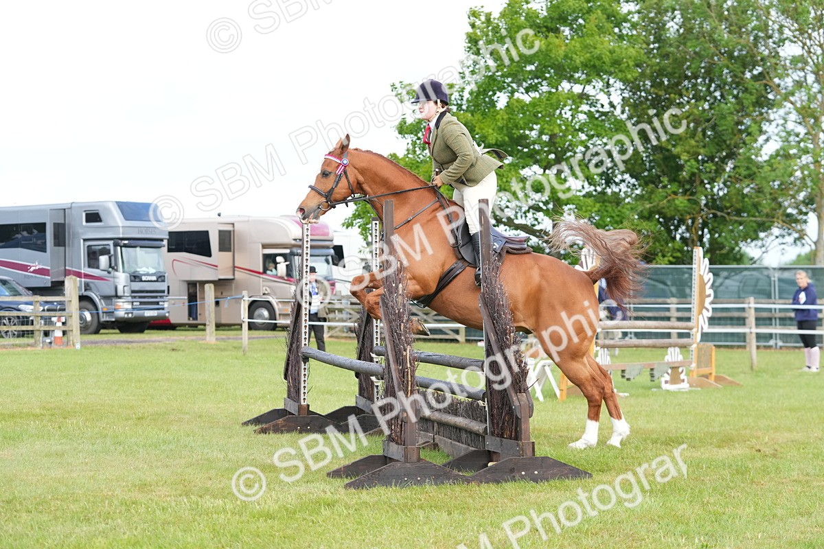 SBM_10471 - Class 97-98 - LIHS BSHA Rising Star Working Show Horse Hunter