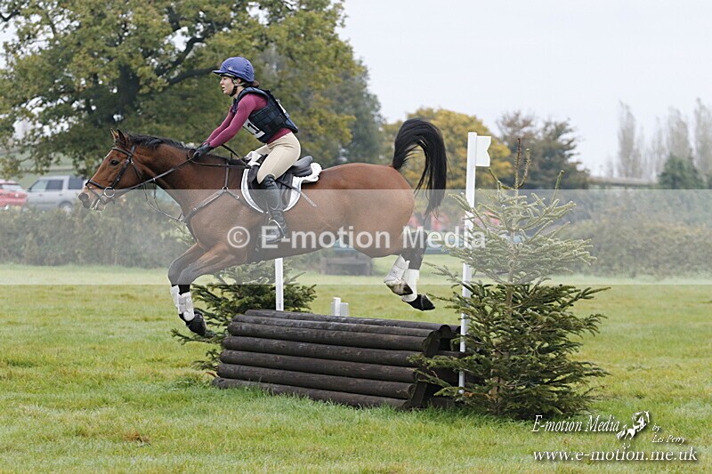 WWHT 181020 WWHT 181020 229 - WWEC Novice Restricted (0.80m) 18/10/20